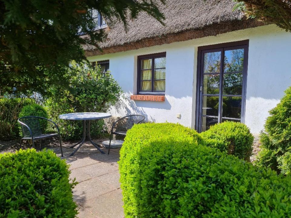 Apartament Alte Und Neue Buednerei Groß Zicker Zewnętrze zdjęcie